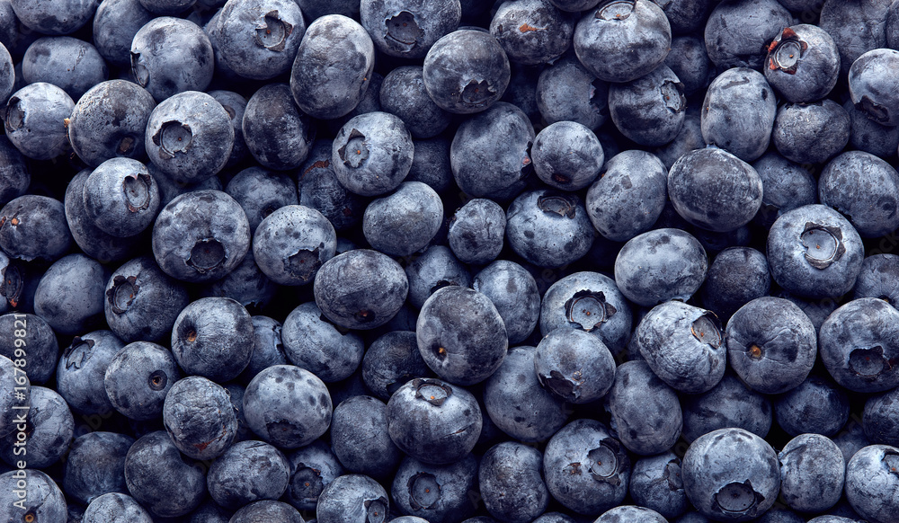 Freshly picked blueberries. Wild berry, Healthy food Freshly picked blueberries. Wild berry, Healthy food
