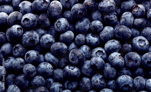 Freshly picked blueberries. Wild berry, Healthy food