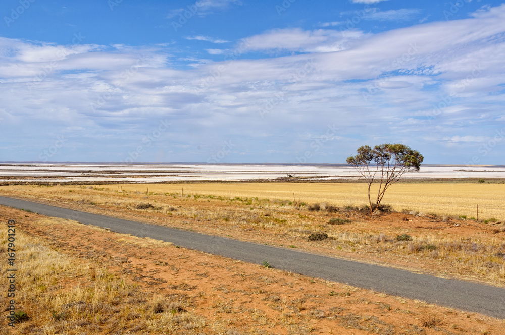 Obraz premium Lake Tyrrell at Sea Lake is the largest salt lake in Victoria, Australia