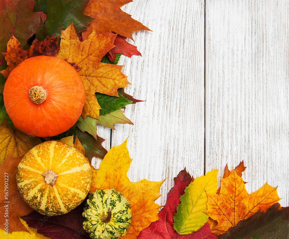 Pumpkin and leaves Pumpkin and leaves