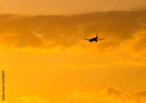 The plane is landing at sunset © schankz