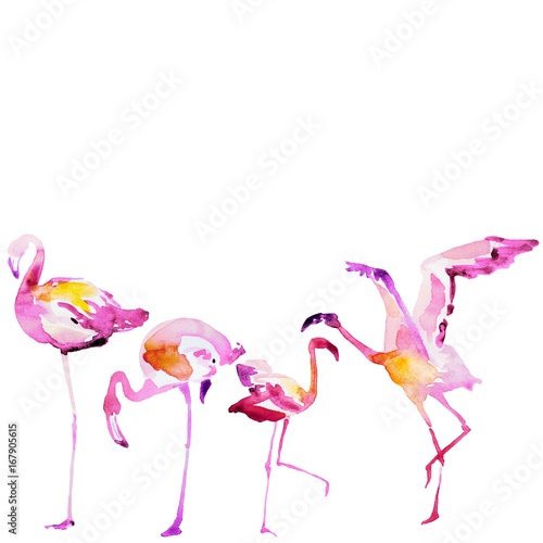 Beautiful watercolor flamingos, isolaned on a white. Big set. © aboard