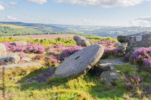 Vászonkép On Hathersage Moor in Derbyshire a large, old, abandoned millstone rests at an angle on a gritstone outcrop, surrounded by grass, ferns and bright purple heather