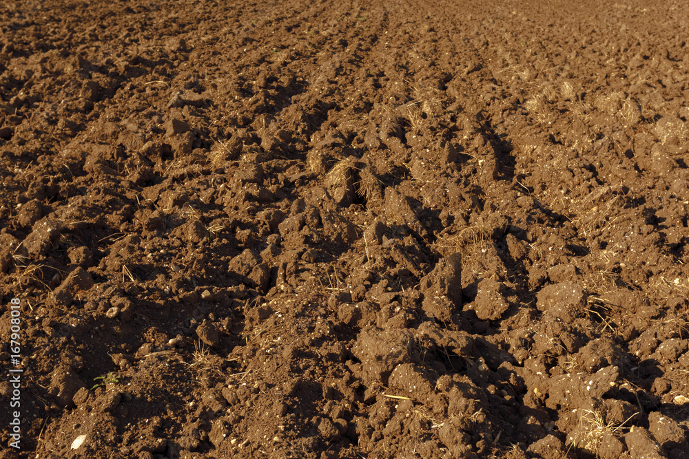 Soil texture background Soil texture background