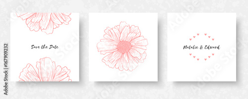 Vector elements for design template. Ornate decor for invitations, greeting cards, certificate, labels, badges, tags.