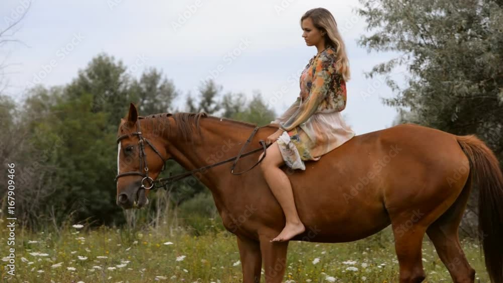 Young woman riding a horse in summer Young woman riding a horse in summer