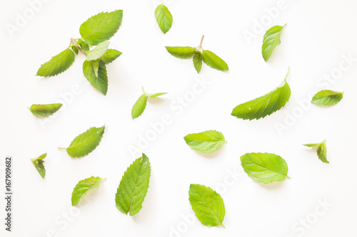 Fresh mint leaves pattern