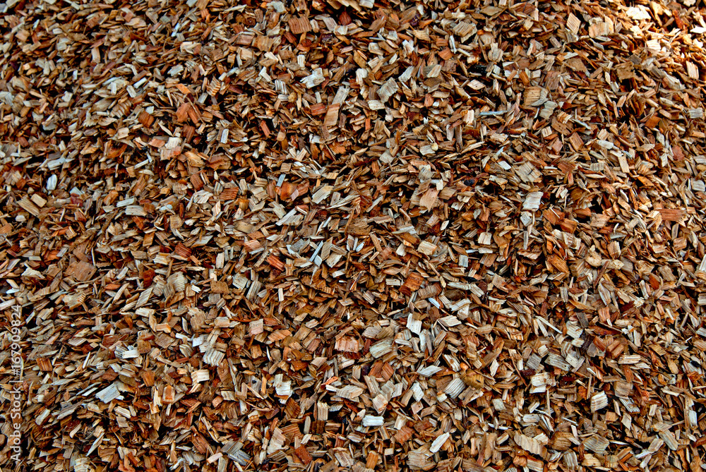 Biomasse Biomasse