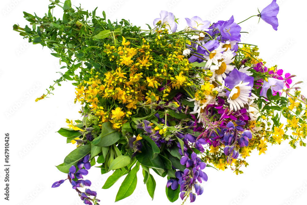 Bouquet of multicolored wildflowers on white background