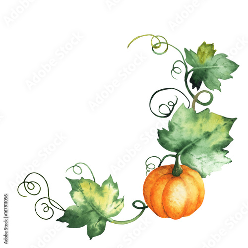 Watercolor pumpkin, hand-drawn isolated elements