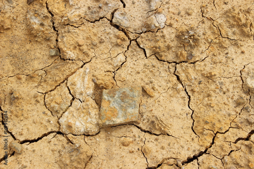Fototapeta premium Lehmrisse steiniger Boden 2