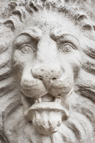 Stone lion face close up. 