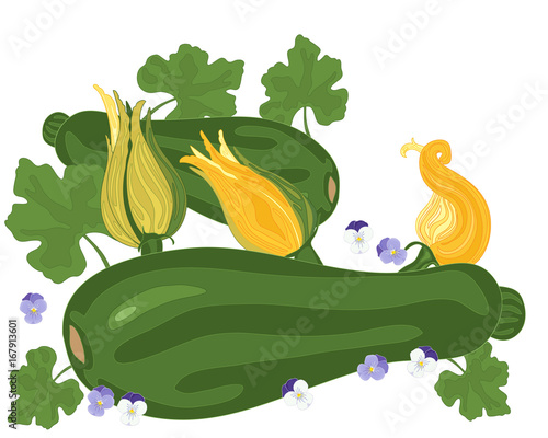 courgette and flower