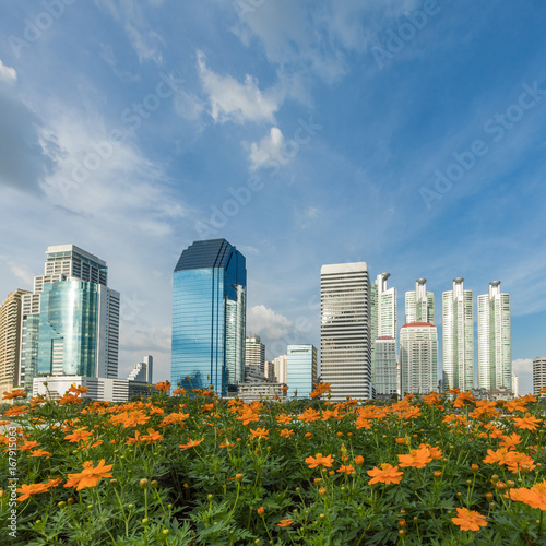 Cityscape view of buildings with Yellow flowers and Blue sky, clouds backgorund at Benjakitti Park, Bangkok, Thailand