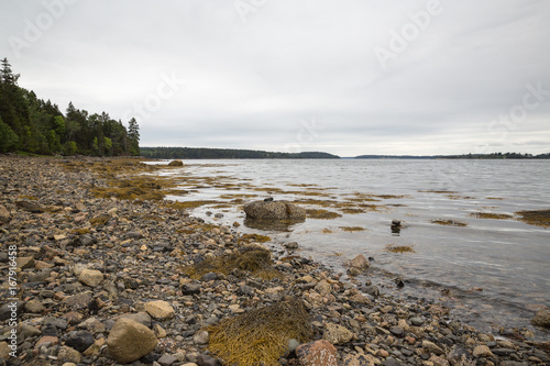 The rocks and beach at Pretty Marsh on Mount Desert in Maine