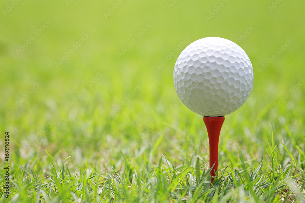 Golf ball on wooden golf tee.