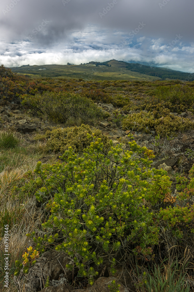 Landscape of Haleakala National Park Landscape of Haleakala National Park