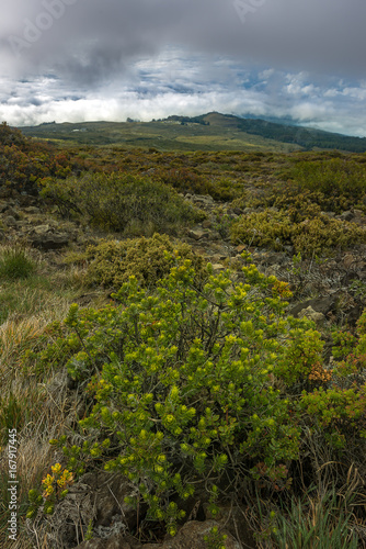 Landscape of Haleakala National Park