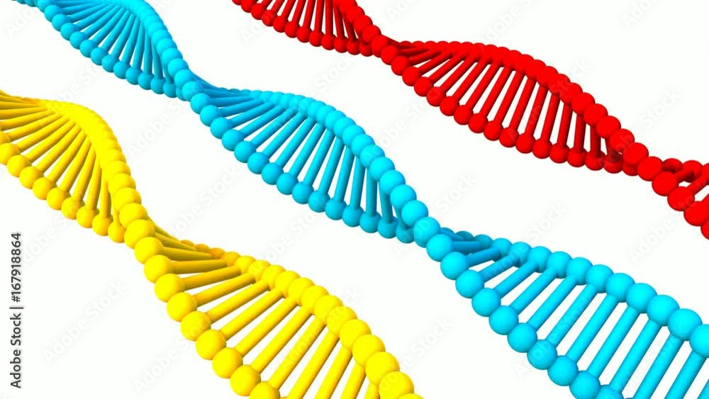 Genetic Code Sequence of DNA Protein Art Genetic Code Sequence of DNA Protein Art