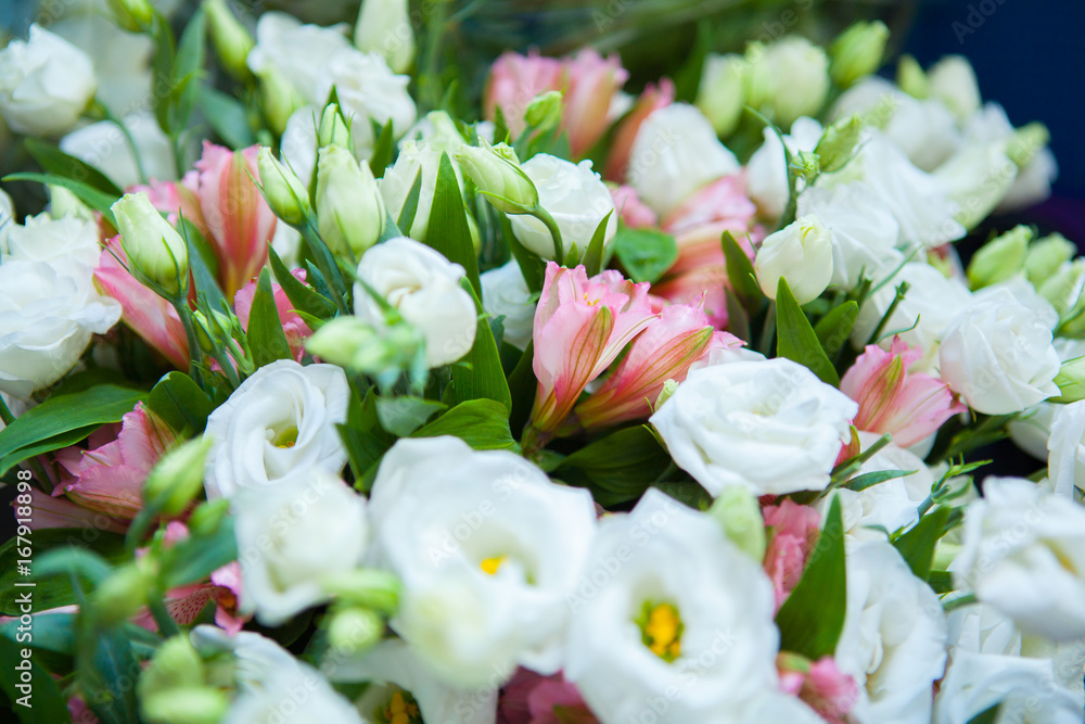 Obraz premium bouquet