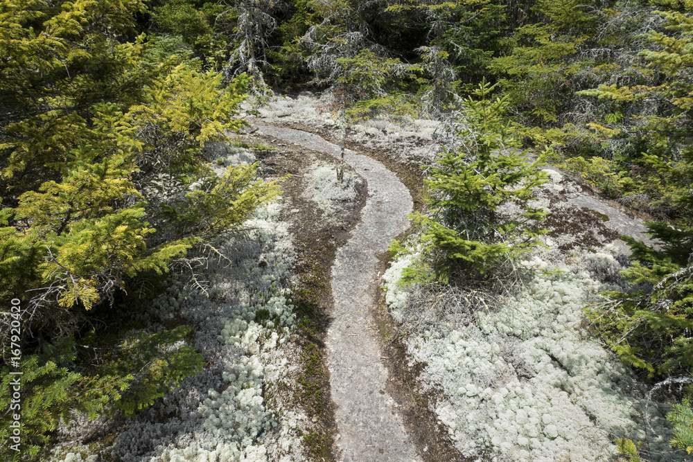Granite Pathway in the Adirondack Mountains of New York Granite Pathway in the Adirondack Mountains of New York