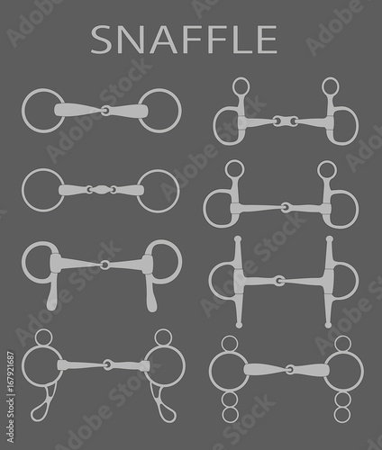 Horse snaffle  set on  a gray background.vector illustration photo