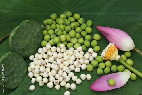 Lotus seeds 