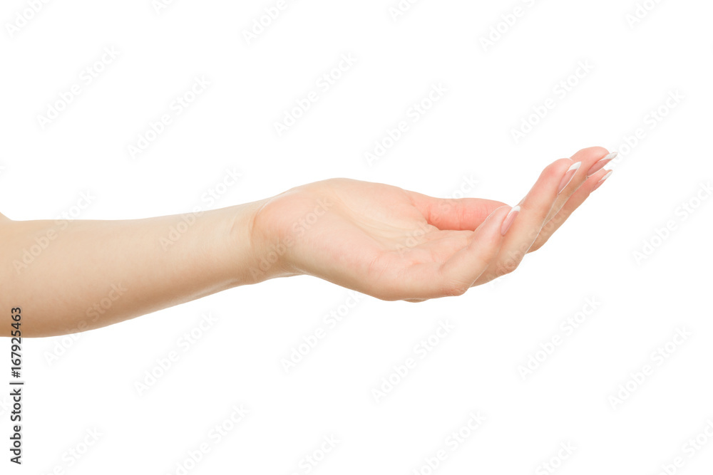 Woman's hand keeping empty cupped palm, crop, cutout Woman's hand keeping empty cupped palm, crop, cutout