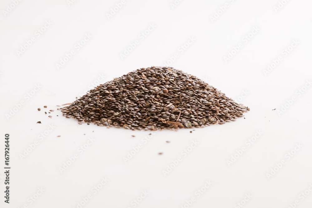 Nettle seeds on a white background. Nettle seeds on a white background.