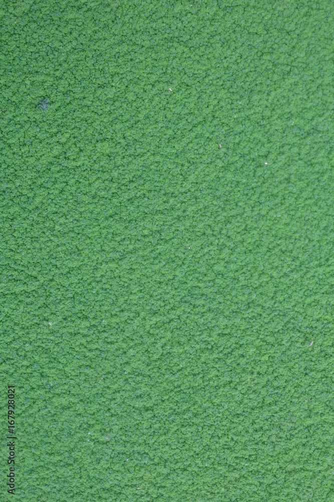 top view green moss for background texture top view green moss for background texture