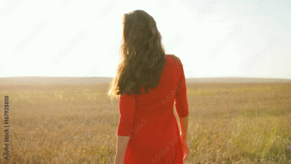 Portrait of young brunette woman in stylish red dress walking the golden field during the sunrise. Dolly shot. Portrait of young brunette woman in stylish red dress walking the golden field during the sunrise. Dolly shot.