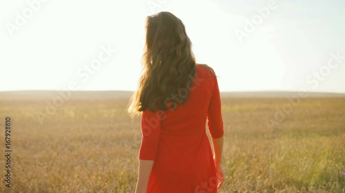 Portrait of young brunette woman in stylish red dress walking the golden field during the sunrise. Dolly shot. photo