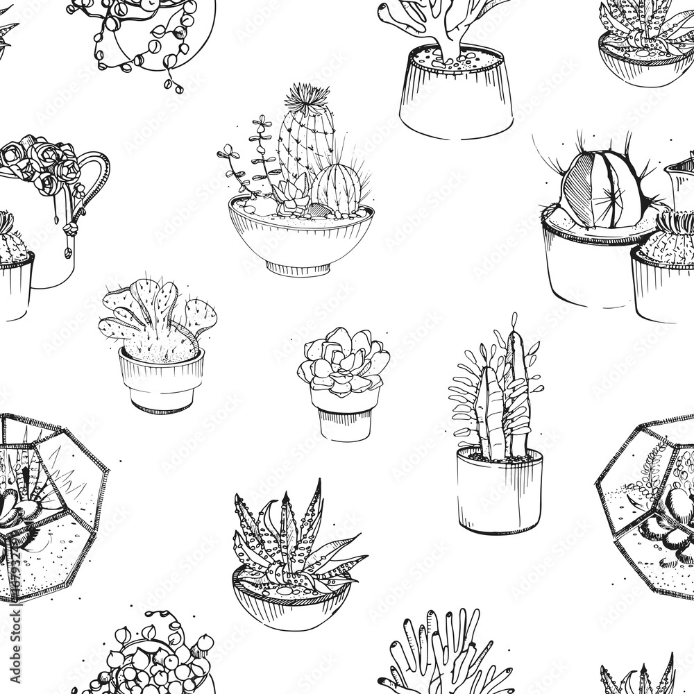 Seamless pattern with various hand drawn succulents and cactus in plant ...
