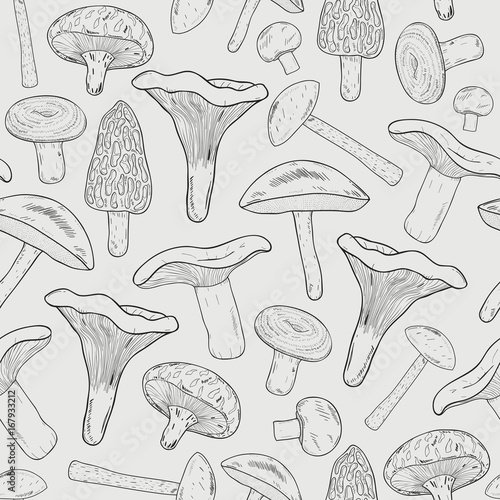 Edible mushrooms outline seamless pattern. Hand drawn fungi. Birch bolete, blewits, brown, champignon, shiitake, chanterelle, wrinkled. Contour vector illustration.