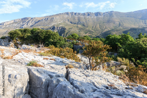 Wallpaper Mural paysage provençal Torontodigital.ca
