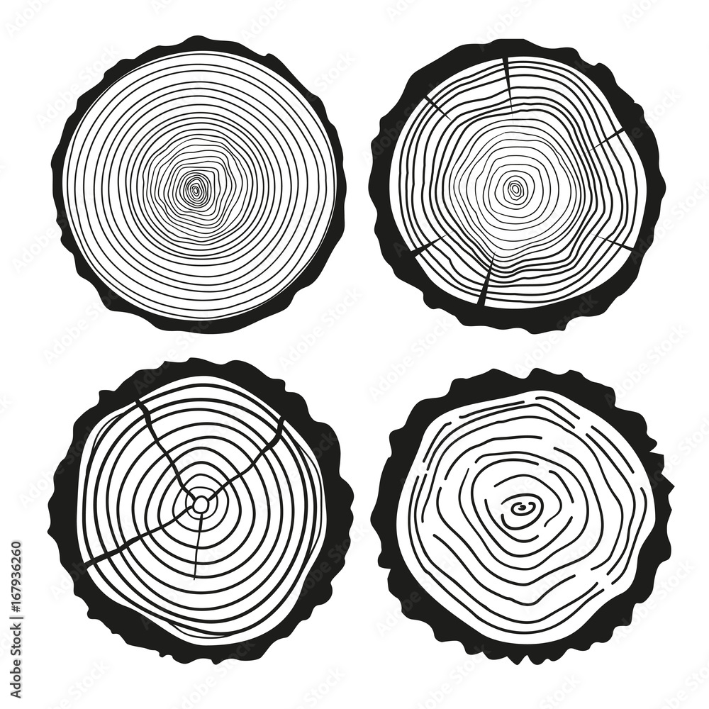Tree rings. Set of cross section of the tree. Set of tree rings on ...