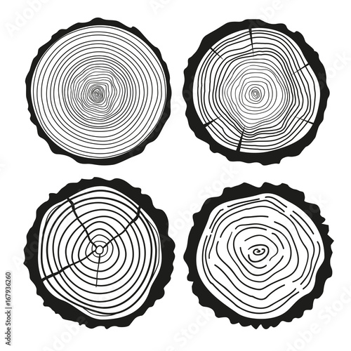 Tree rings. Set of cross section of the tree. Set of tree rings on isolation background. Conceptual graphics. Line art