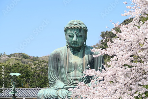 鎌倉の大仏と桜