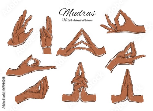 Vector hand drawn set of mudras. Isolated on white. Yoga. Spirituality