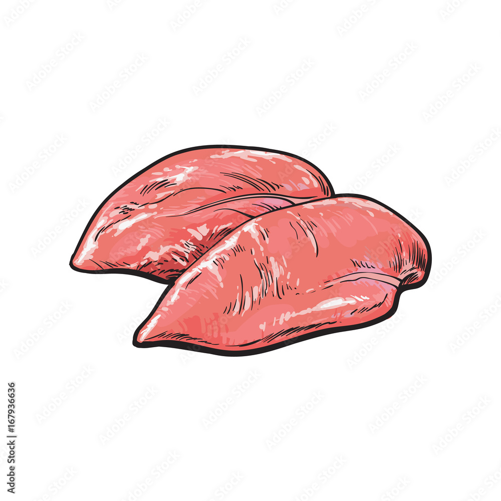 medical structure of the liver - Stock Illustration [38996384] - PIXTA