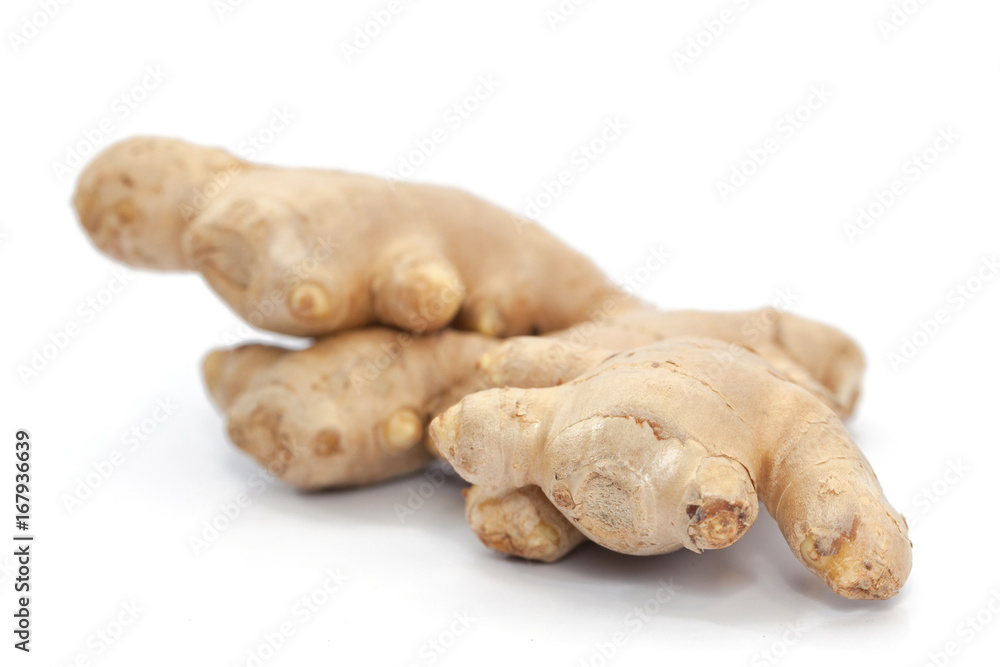 root ginger isolated on white root ginger isolated on white