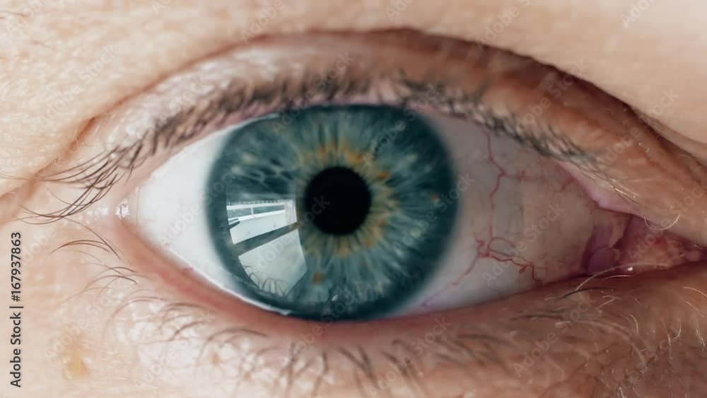 Blue human man eye looking at camera, close up.