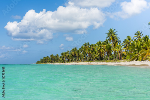 Canto de la Playa, Saona Island, East National Park (Parque Nacional del Este), Dominican Republic, Caribbean Sea. photo