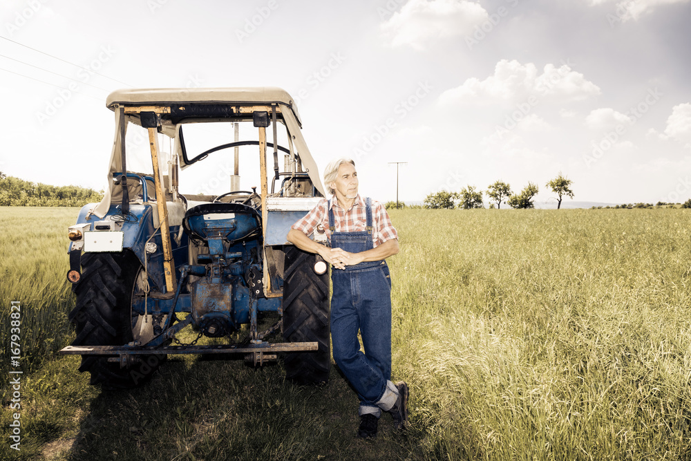 Fototapeta Farmer Standing In A Field