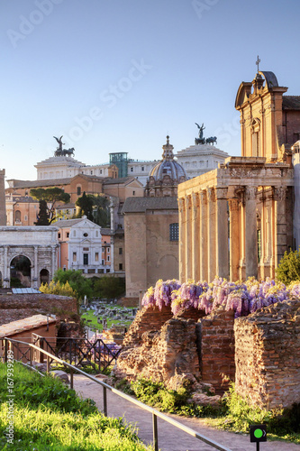 Italy, Rome, Roman Forum and Altare della Patria monument at sunset photo