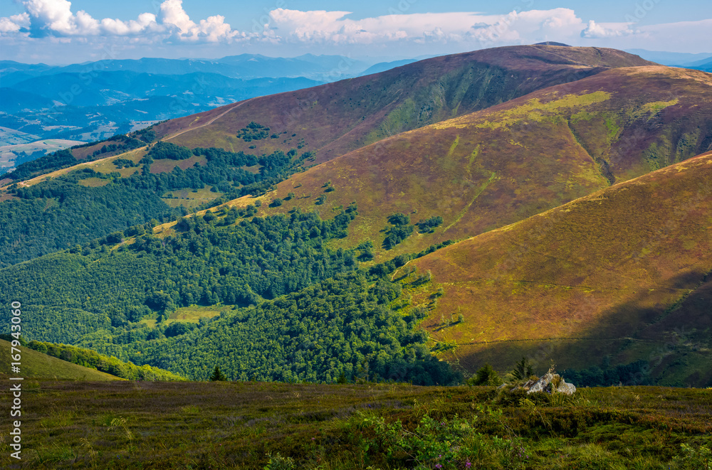 Borzhava ridge in Carpathian mountains in august