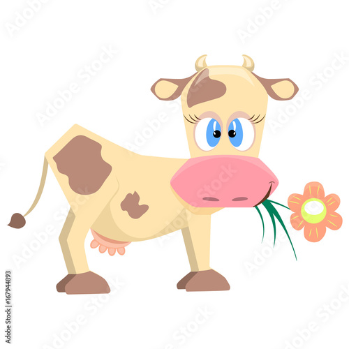 Amusing cow