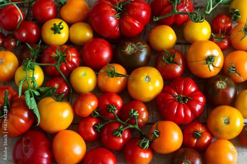 Tomato of different varieties on a wooden background Tomato of different varieties on a wooden background