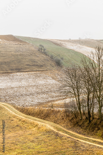 Countryside view frosty hilly fields with trees