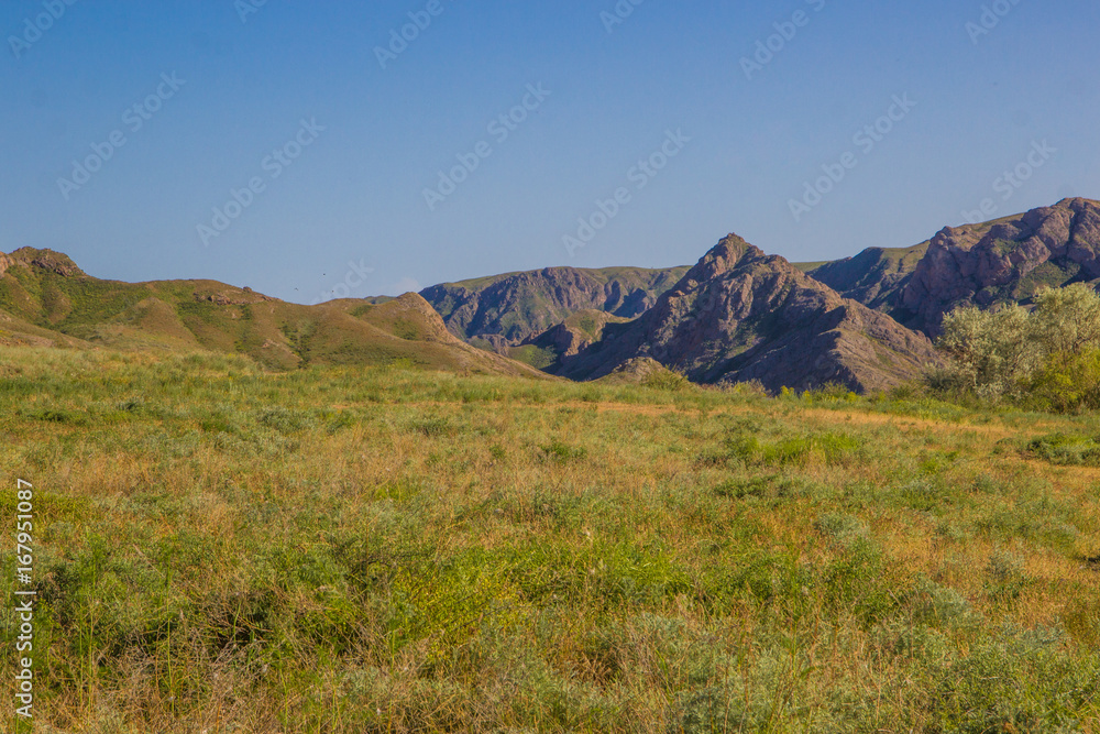 Steppe landscape in the spring near the Ili River, Kazakhstan